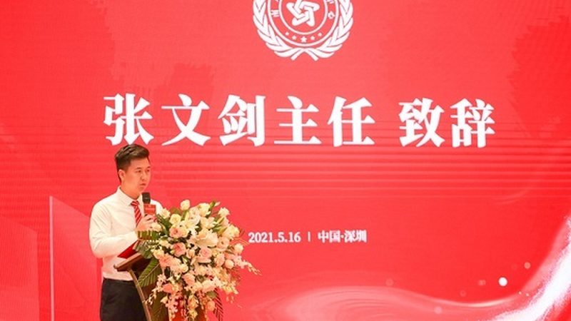 MG动画制作周期揭秘：影响因素与优化策略