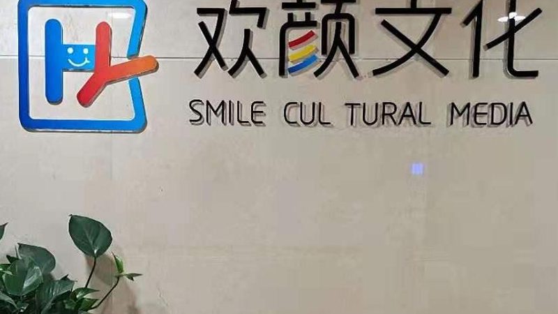 成都mg动画微课制作：揭秘微课动画的魅力与制作要点